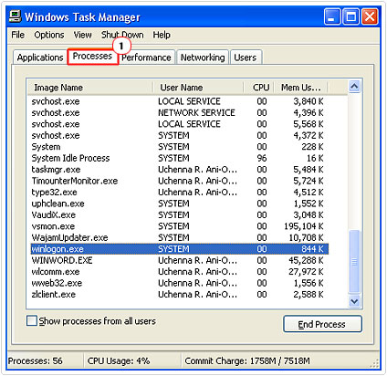 Windows Task Manager Processes 