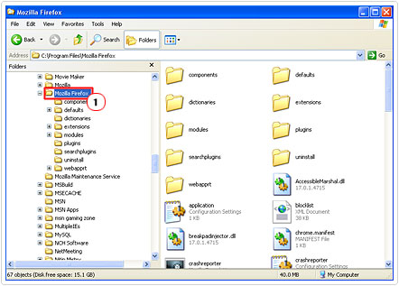 Program Path in Windows Explorer