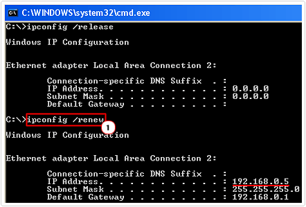 ipconfig /renew command