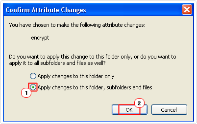 apply settings to all files