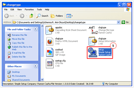 run setup for changetype
