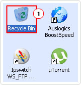 double click on recycle bin