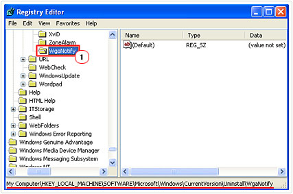 Locate WgaNotify Registry Path