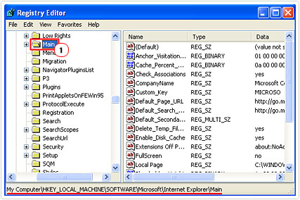 Access Internet Explorer Registry Path