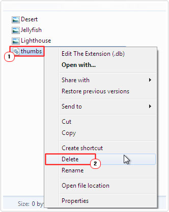 Select and Delete thumbs.db file