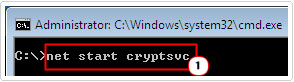 type net start cryptsvc