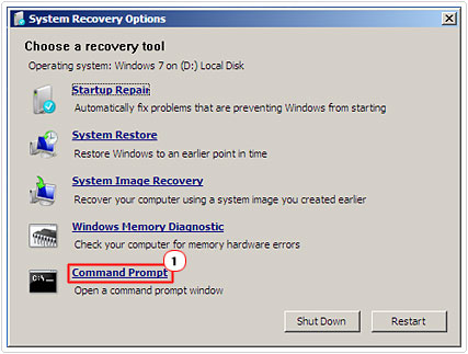 Systems Recovery Options -> Command Prompt
