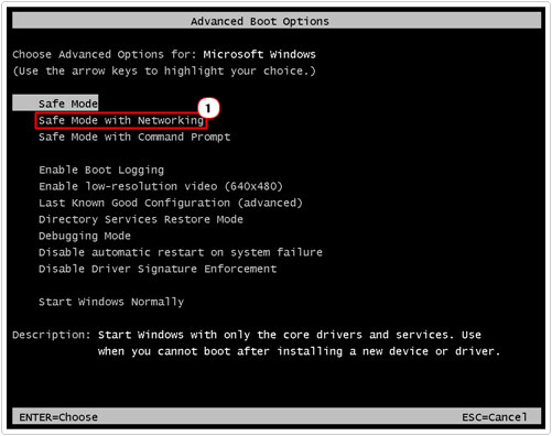 Advanced Boot Options -> Safe Mode with Networking