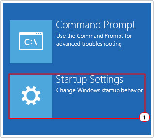 Advanced Options -> Startup Settings