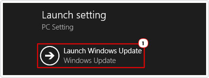 Launch Setting -> Launch Windows Update