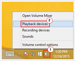 Speakers -> Playback Devices