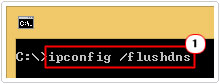 cmd -> type ipconfig /flushdns