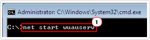 cmd -> net start wuauserv to fix 0x8024402c error