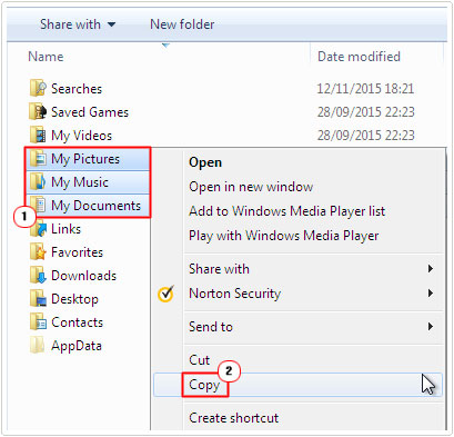 Copy profile folders