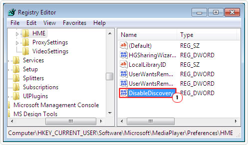 access DisableDiscovery registry key