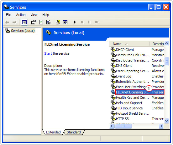 services.msc -> FLEXnet Licensing Service