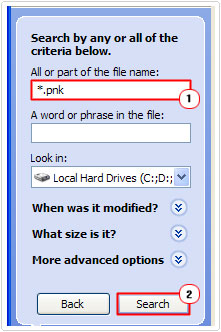 search for .pnk files -> delete files