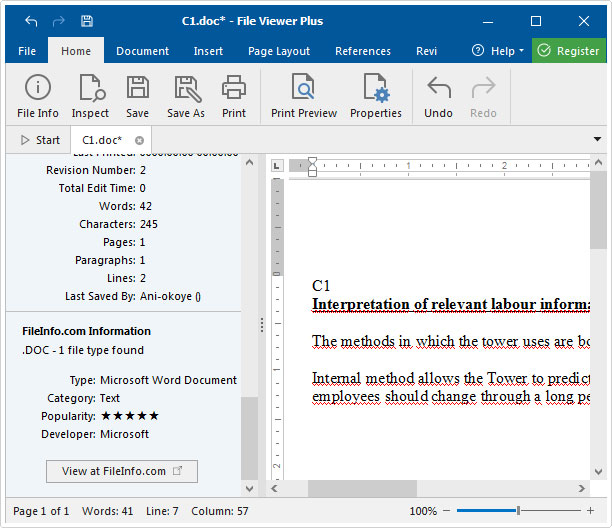 File Viewer Plus -> document file information -> more information