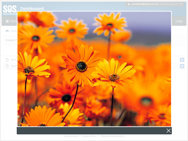 SOS Online Backup file preview feature