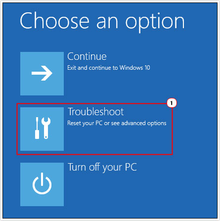 select troubleshoot in choose an option