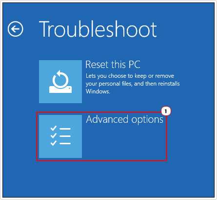 click on advanced options in troubleshoot screen