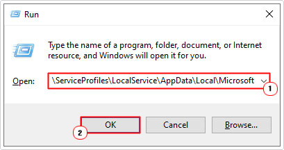 visit Microsoft path using run box