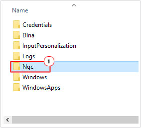 access ngc folder to delete contents