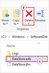 delete Datastore.edb folder in Datastore folder