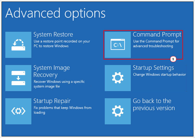 click on Command Prompt in advanced options