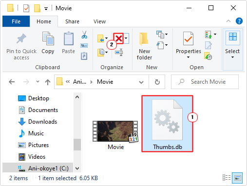 delete thumbs.db file in folder