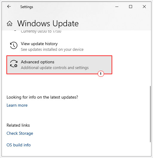 click on advanced options in windows update