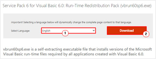 Download runtime files from website