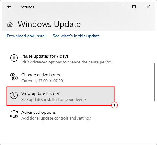 click on view update history from windows update