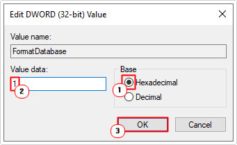 set dword value data to 1 of FormatDatabase