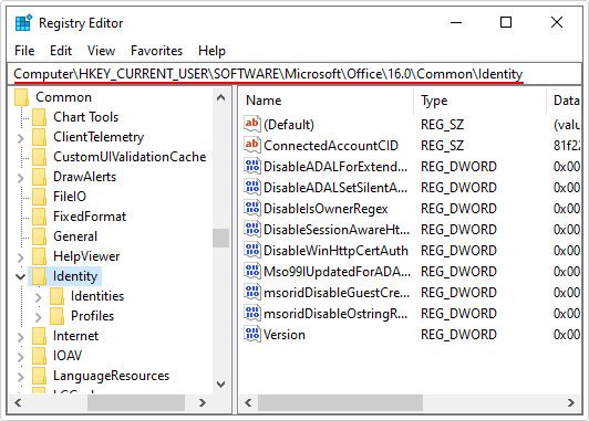access Common\Identity location in registry editor