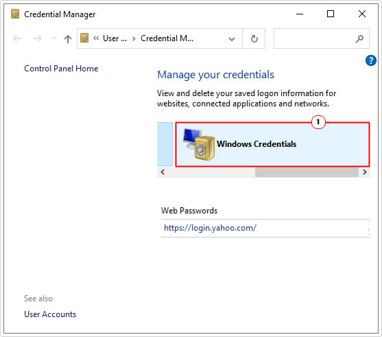 click on Windows Credentials in Credential Manager 