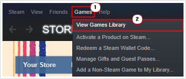 click on View Games Library in steam