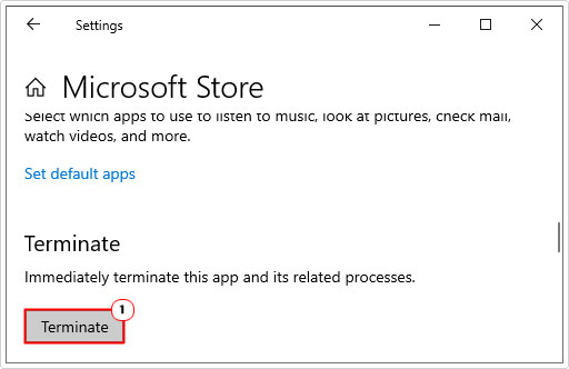 terminate Microsoft store in advanced options