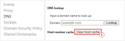 click on Clear host cache in dns lookup