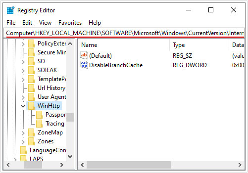 go to CurrentVersion\Internet Settings\WinHttp registry path