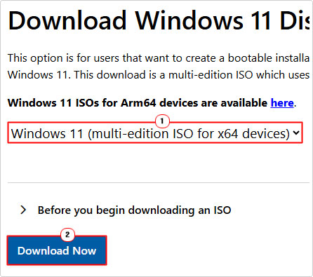 download Windows 11 ISO