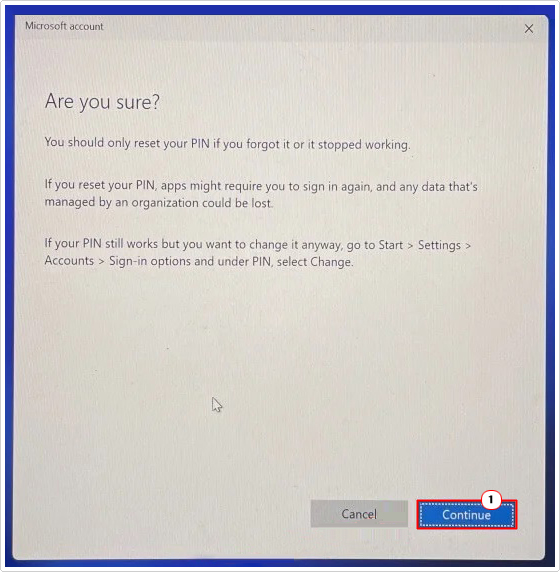 on the reset pin screen click on continue