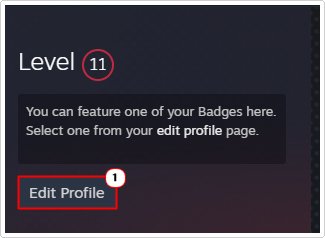 click on Edit Profile in view my profile