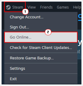click on steam and select go online