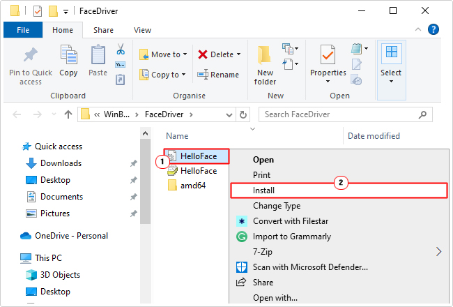 in facedriver right-click on HelloFace.inf and select install
