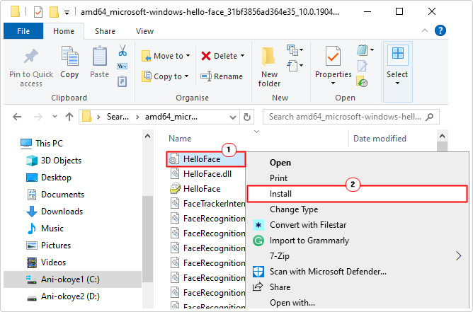 click on HelloFace.inf in winsxs and select install