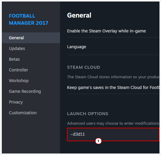 type –d3d11 into the launch options in game properties