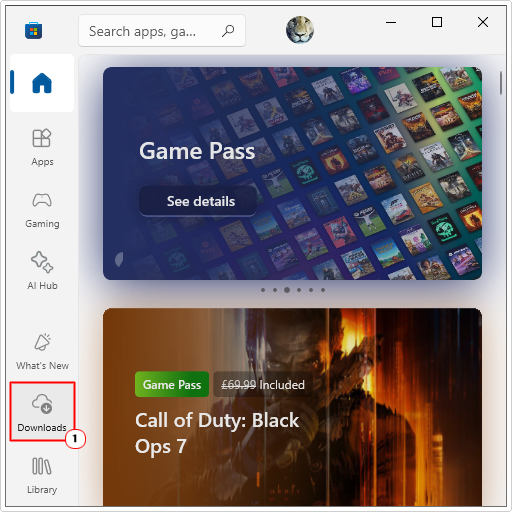 click on downloads in Windows Store