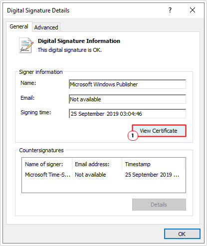 click on view certificate in Digital Signature Details