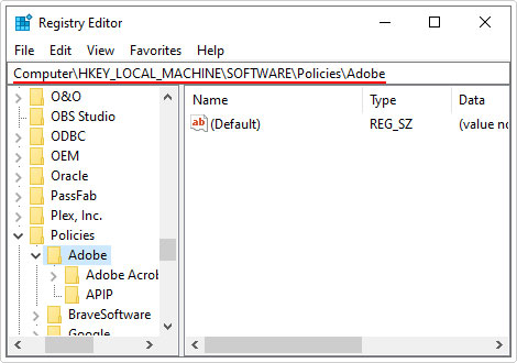 go to Policies\Adobe registry path